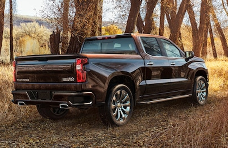 A 2020 Chevy Silverado 1500 parked among ragged trees in a dry environment.