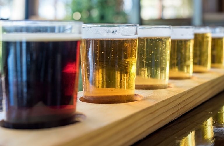 A row of beer glasses filled with beer