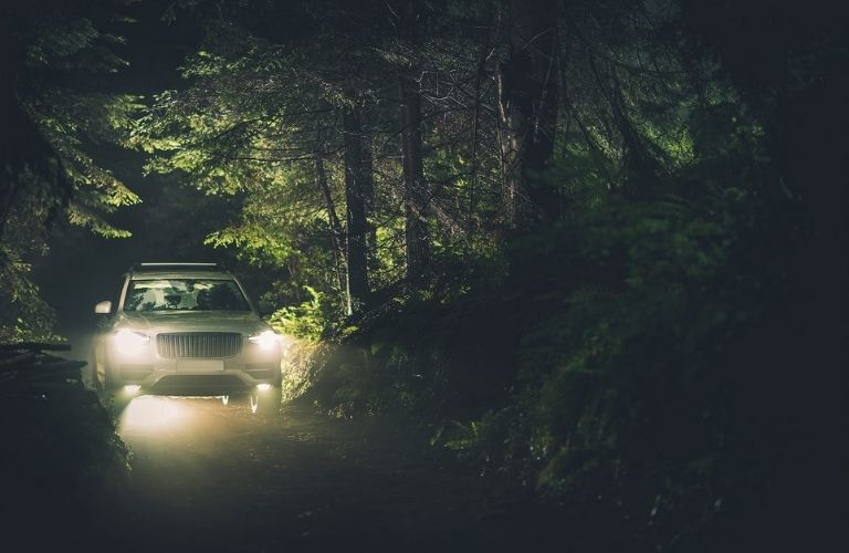 A car on the road at night in the middle of the forest