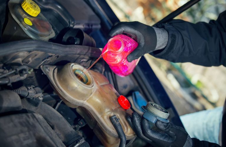 The mechanic is pouring fresh coolant in a car.